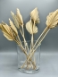 Mobile Preview: Palmen Speer getrocknet 10 Stück im Bund 55 cm